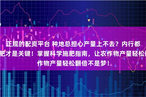 正规的配资平台 种地总担心产量上不去？内行都知道科学施肥才是关键！掌握科学施肥指南，让农作物产量轻松翻倍不是梦！